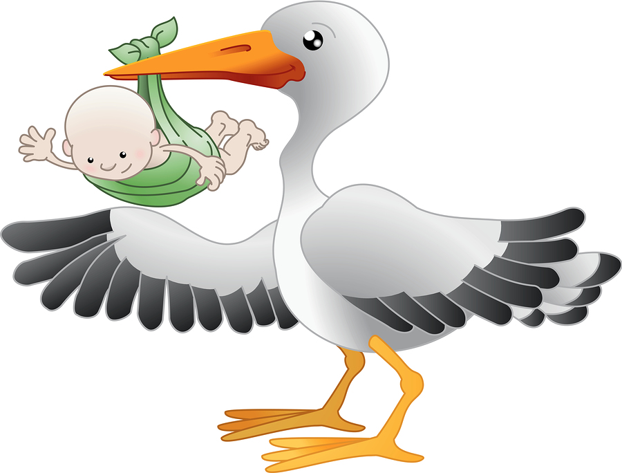 https://www.bigstockphoto.com/image-4632964/stock-photo-stork-with-a-newborn-baby